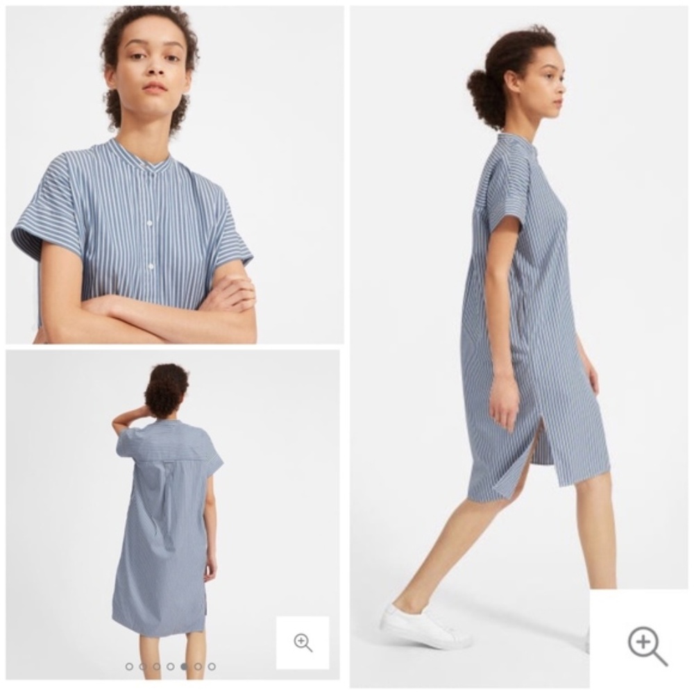 Everlane Pinstripe Popover Cotton Midi Shirtdress